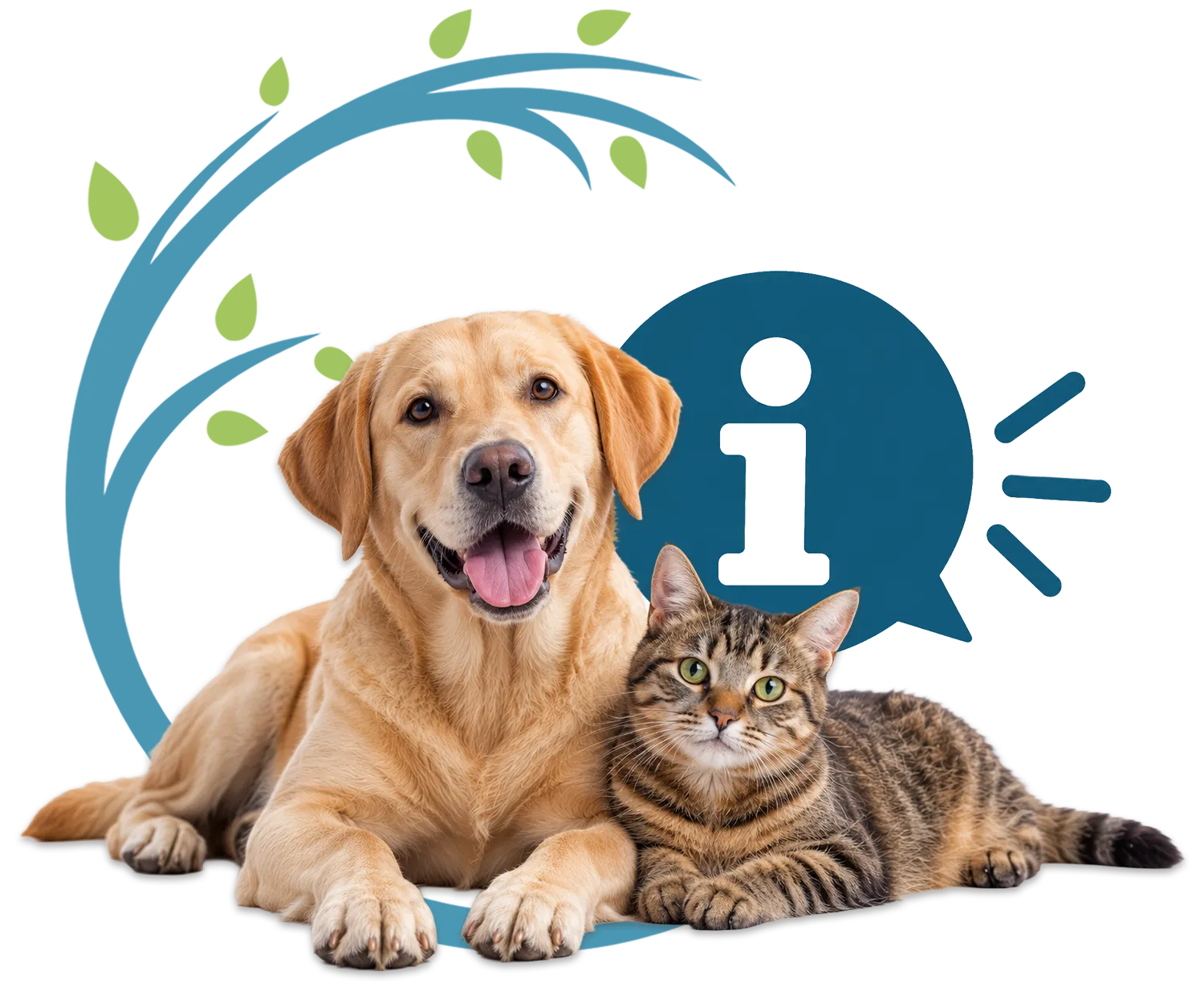 Info über Tierarztpraxis